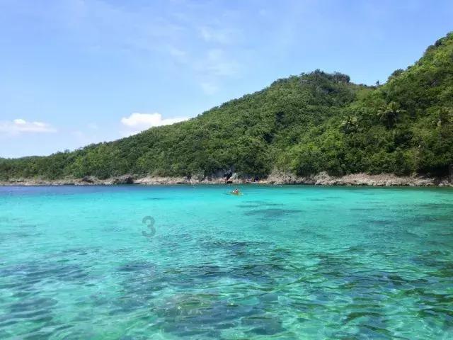 寻找奈良树花